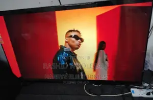 ✓ 55 Inch Vitron Flameless Tv