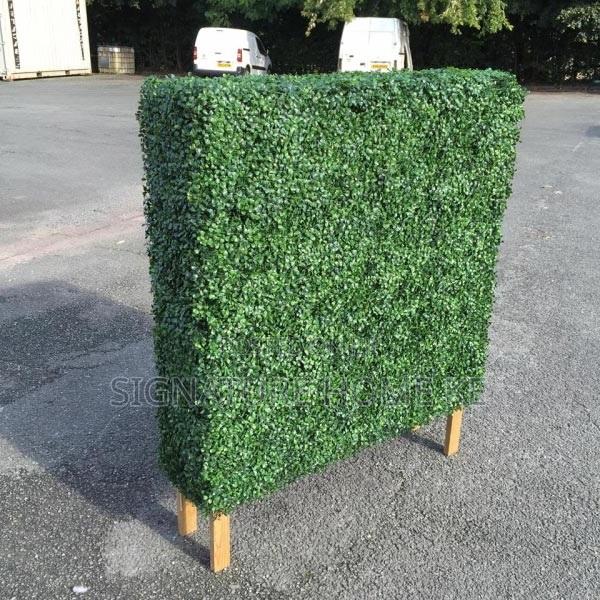 Hedge Panels - thumbnail 2