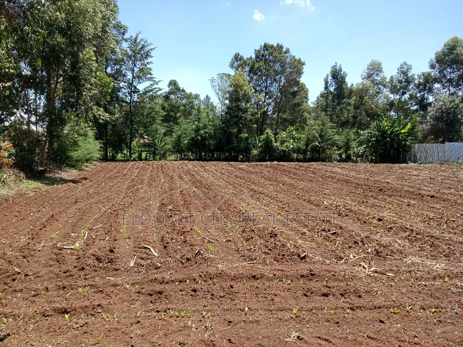 1/4 Plot Ilula 500m From Tarmac