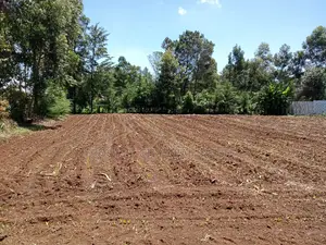 1/4 Plot Ilula 500m From Tarmac