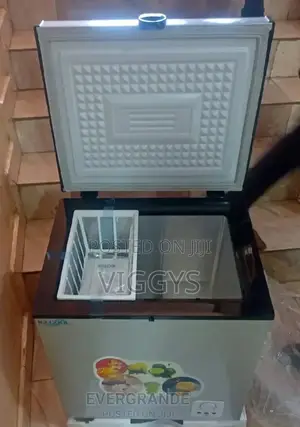 Ice Cool Deep Freezer 60
