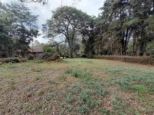 Prime 1.4 Acre Residential Plot for Sale - thumbnail 2
