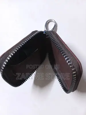 Earpod Carrier