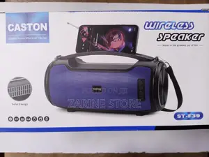 Caston Wireless Bluetooth Speaker