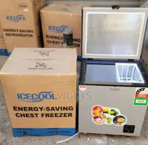 Good Quality Ice Cool Freezer 60 Litre
