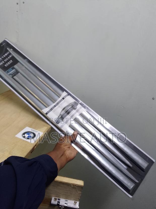 Vehicle Body Strip Moldings/ Silver Car Body Strip Moldings
