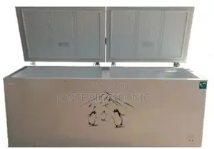 250 Litre Premier Deep Freezer