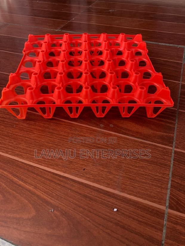 30 Holes Plastic Egg Tray - main view
