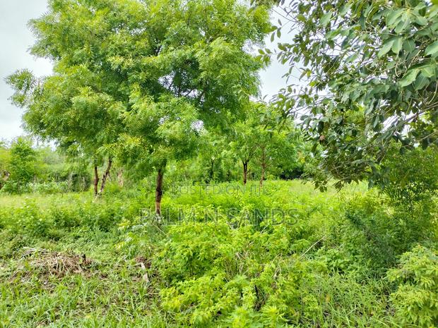 Galu Mwisho Wa Lami Plot - thumbnail 4