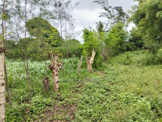 Galu Mwisho Wa Lami Plot - thumbnail 5