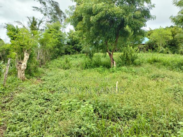 Galu Mwisho Wa Lami Plot - thumbnail 6