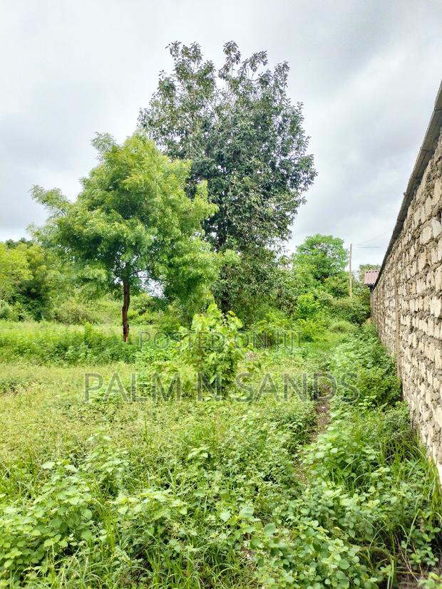 Galu Mwisho Wa Lami Plot - thumbnail 7