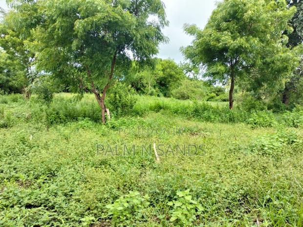 Galu Mwisho Wa Lami Plot - thumbnail 8