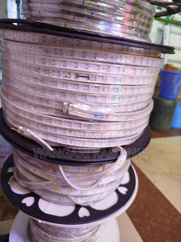 Led Snakelight 100mtrs - main view