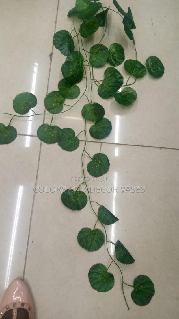 Wall Climbers 2m Long Artificial - main view