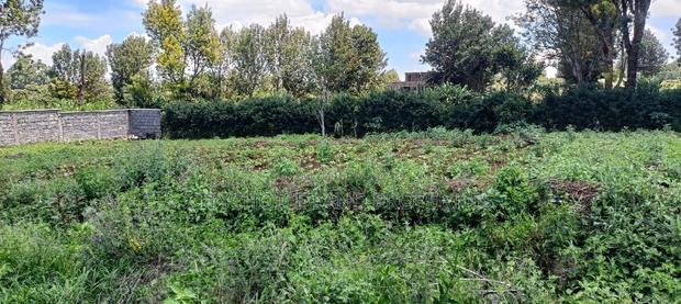 50/100 Plots on Sale in Kikuyu Ondiri