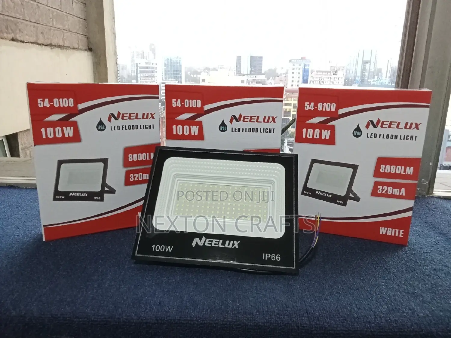 100 Watts AC Flood Lights