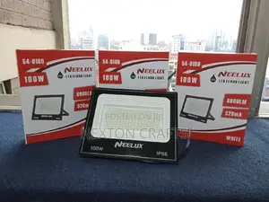 100 Watts AC Flood Lights