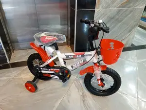 Bike Size 12