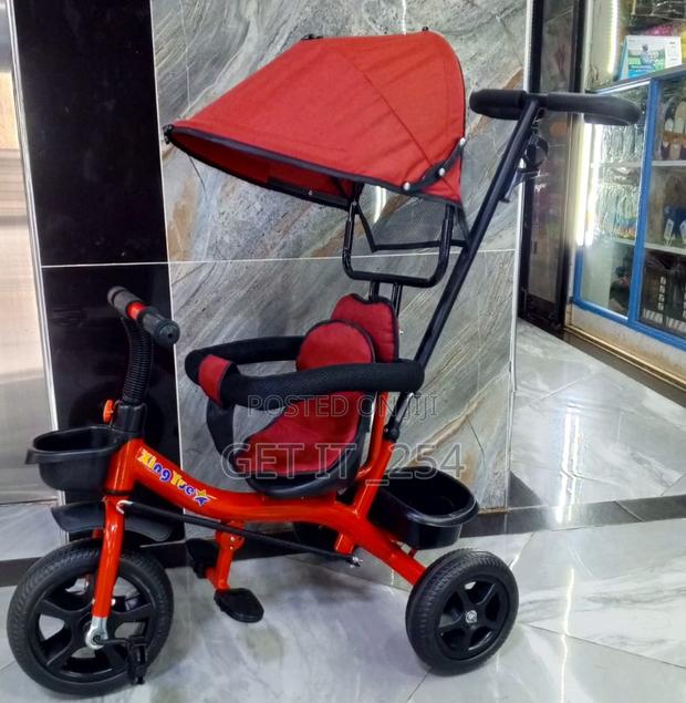 Tricycle With CanopyPushable HandleProtective Side Bars - main view