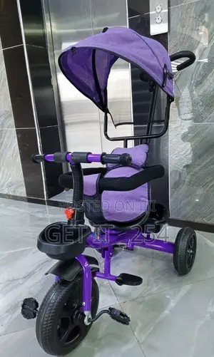 Tricycle With Canopy
Pushable Handle
Protective Side Bars