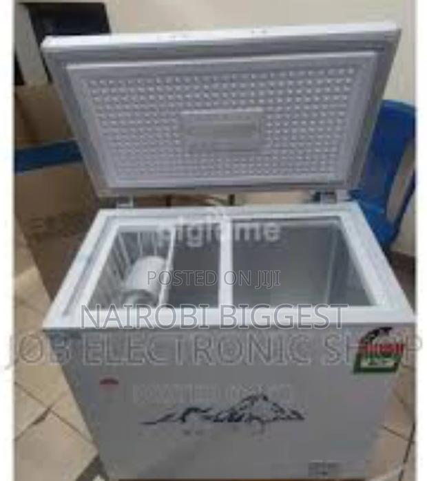Icecool 169litres Best Commercial Freezer