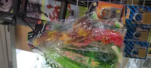 Aquarium Plants/Flowers