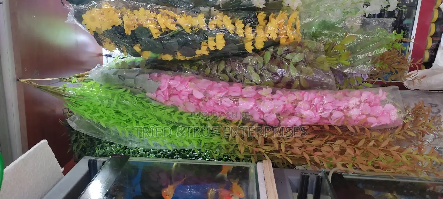 Aquarium Plants/Flowers