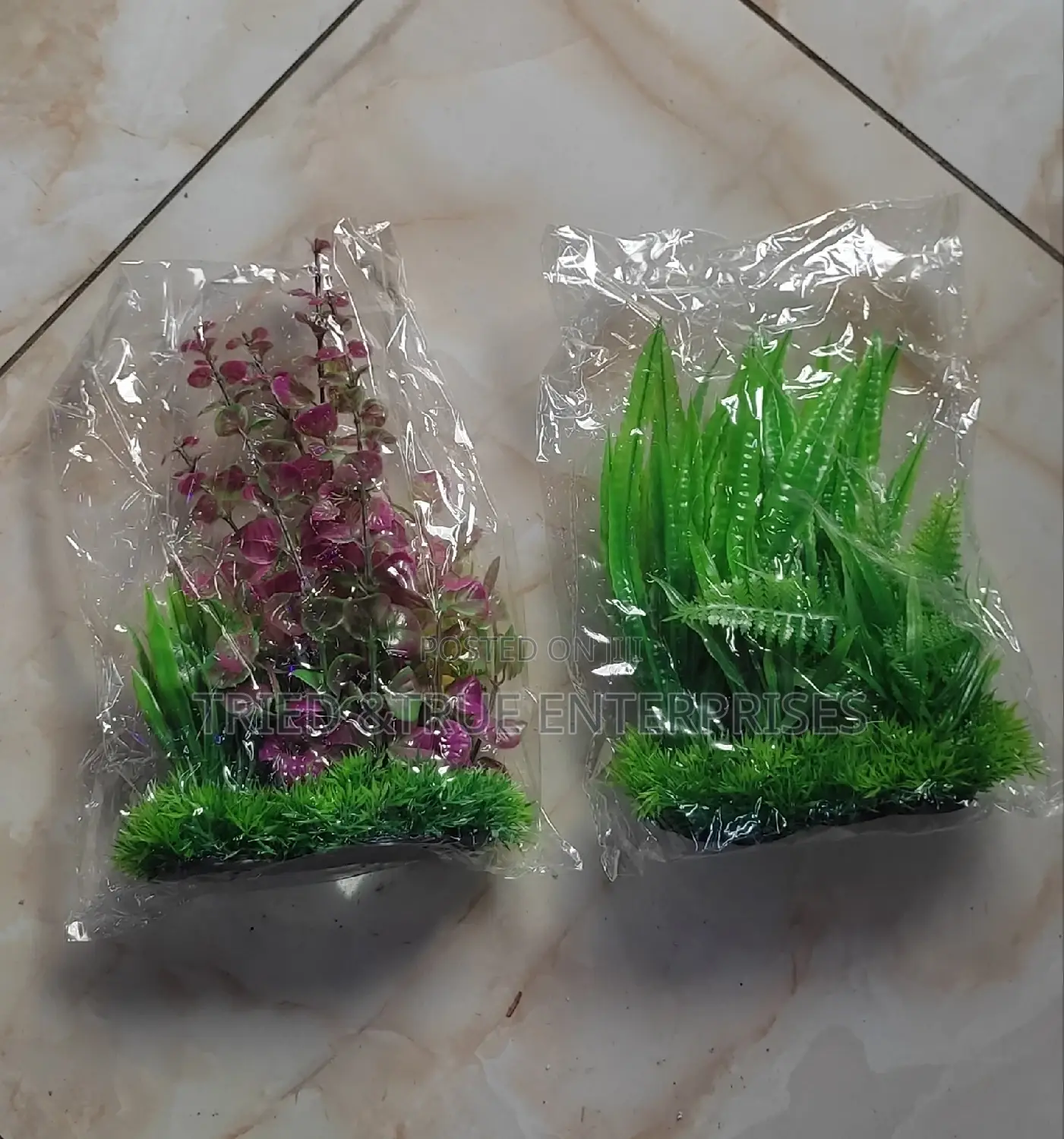Aquarium Plants/Flowers