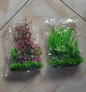 Aquarium Plants/Flowers