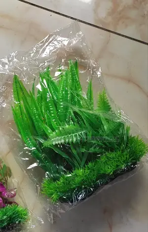 Aquarium Plants/Flowers