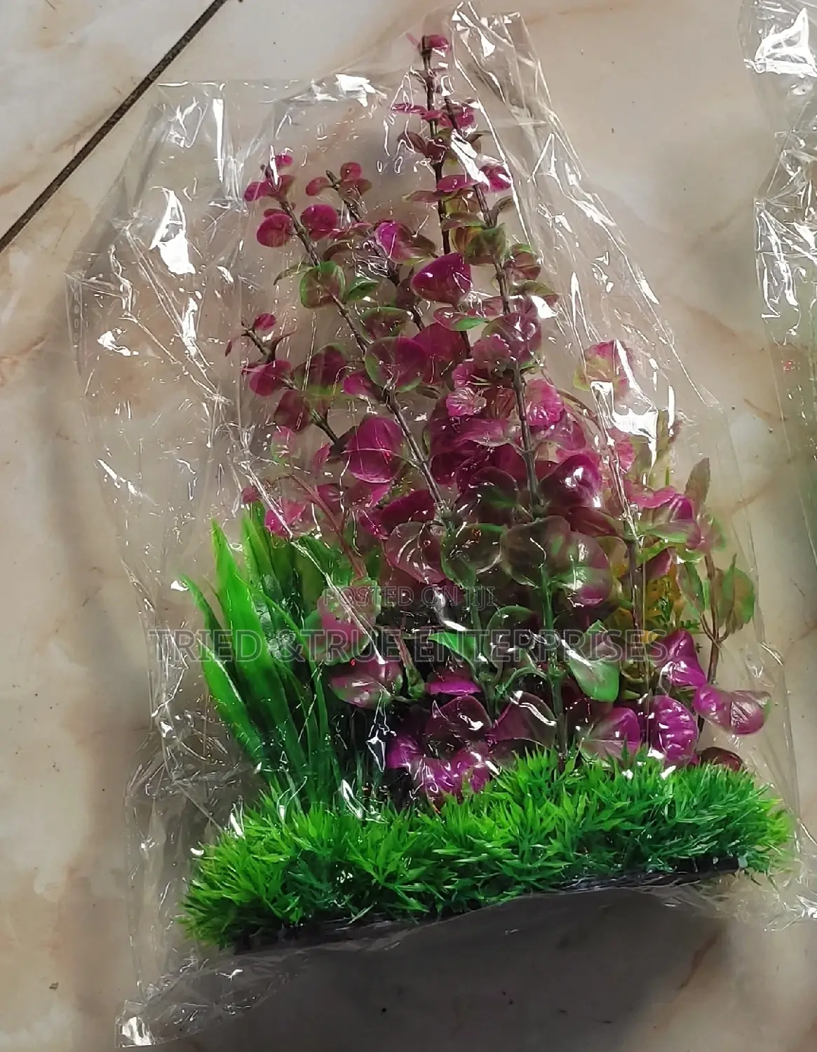 Aquarium Plants/Flowers