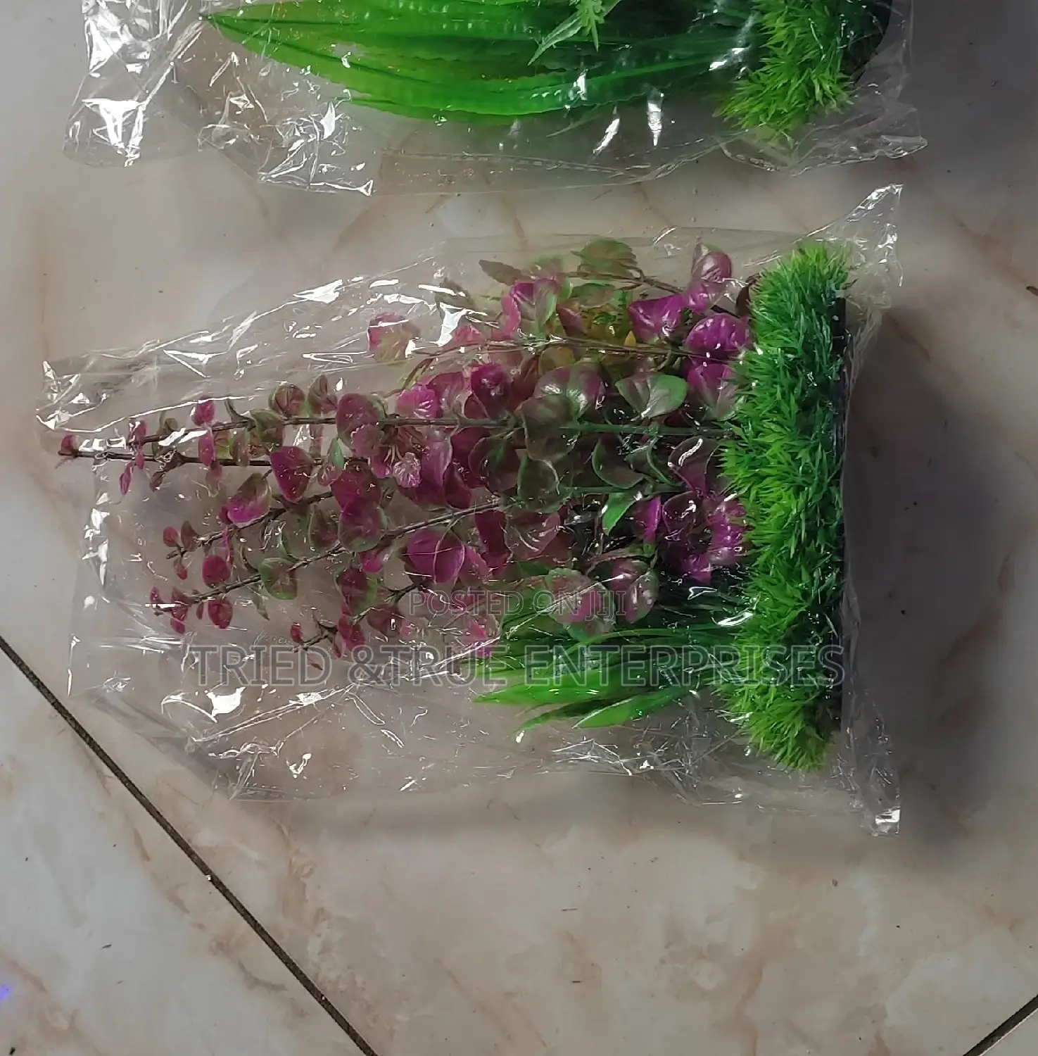 Aquarium Plants/Flowers