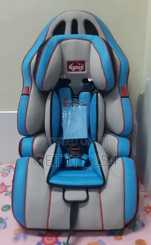 Booster Cat Seat