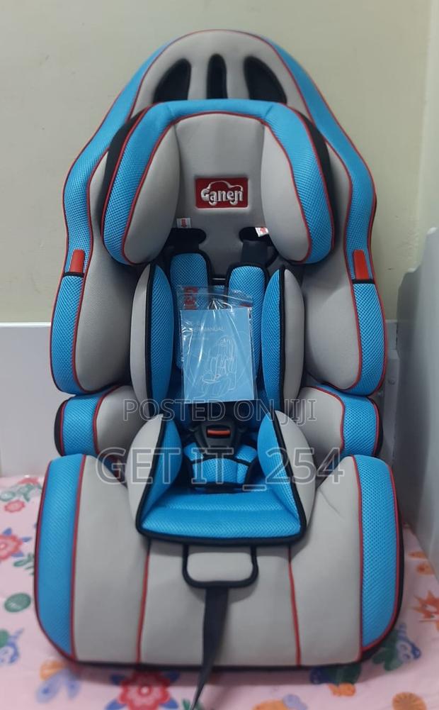 Booster Cat Seat - main view