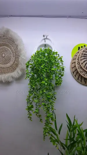 Hanging Vines And Vases
