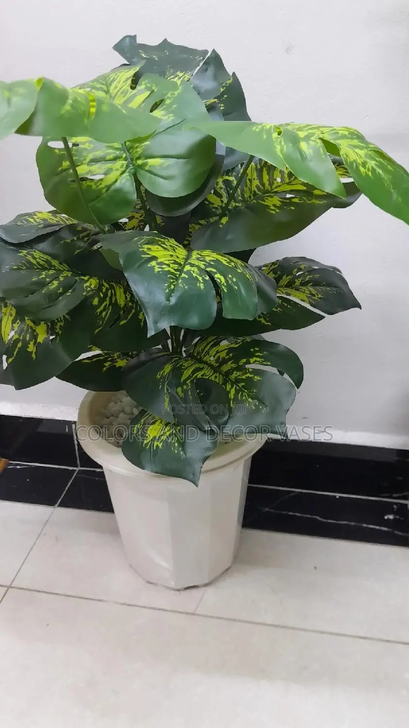 Plant Artificial, Pebbles Stones in Plastic