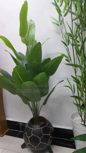 Banana Plant 24leaves and Calabash, Plastic Vase or Basket