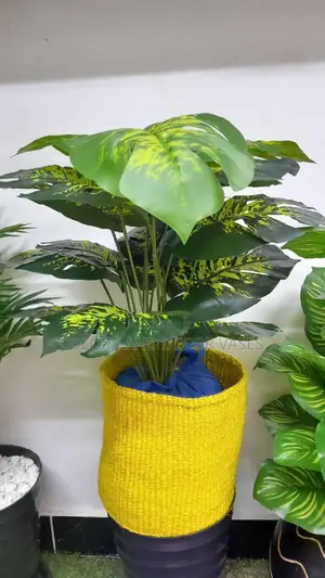 Plant, Plastic Vase or Basket With Pebble Stones