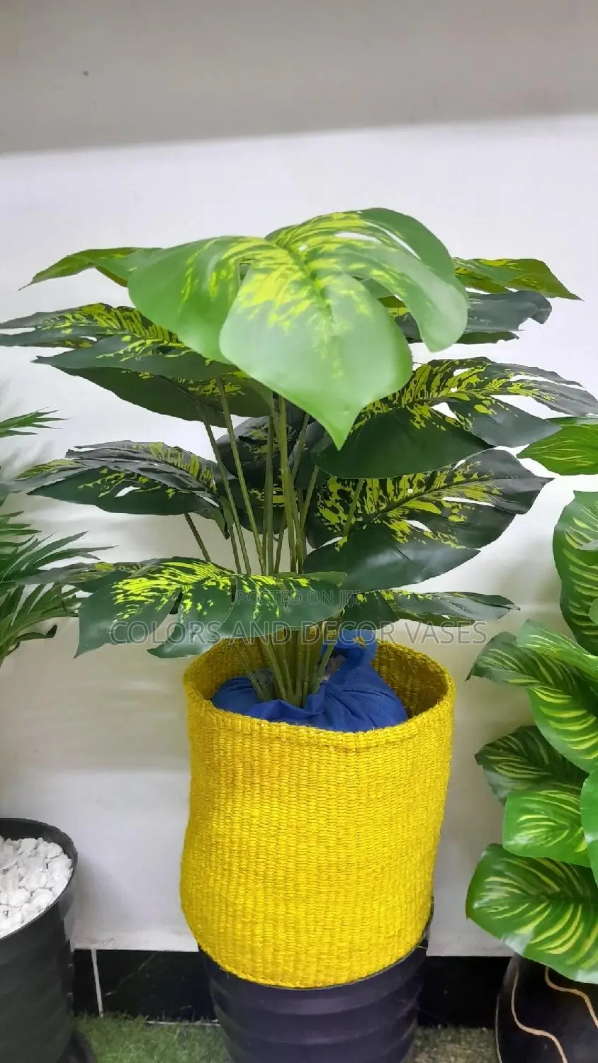 Plant, Plastic Vase or Basket With Pebble Stones