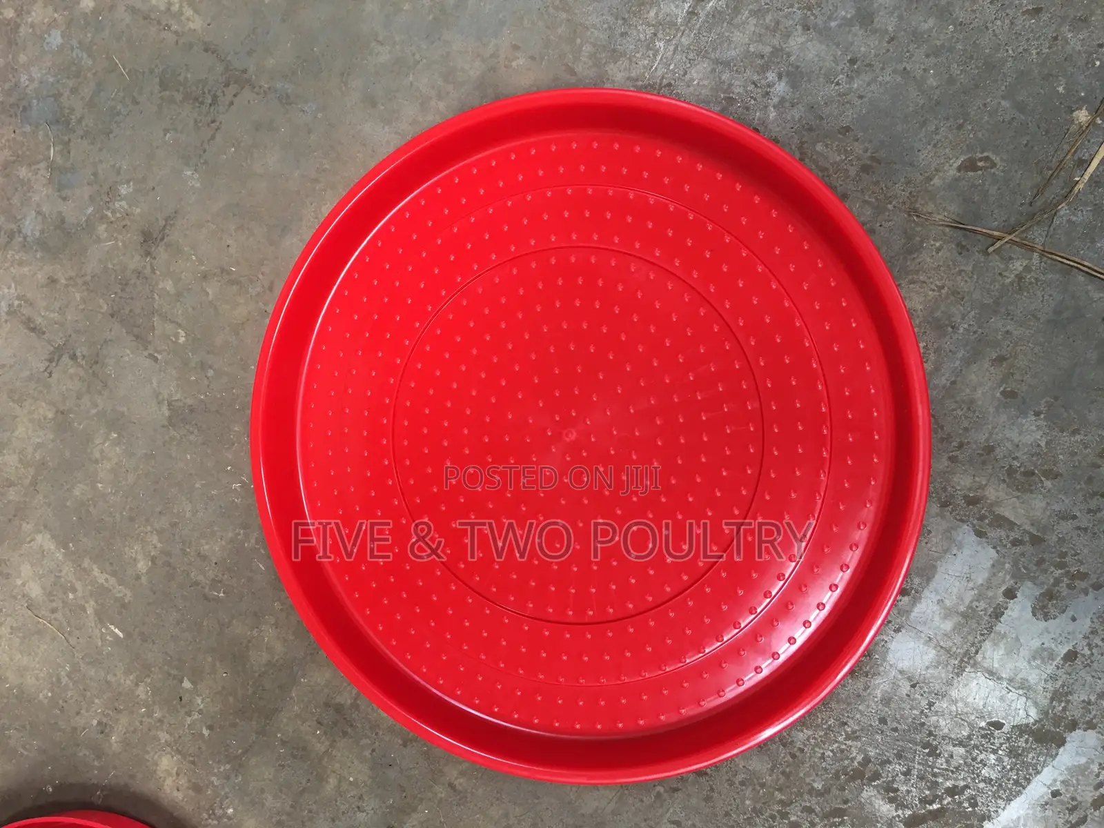 Plastic Feeding Tray