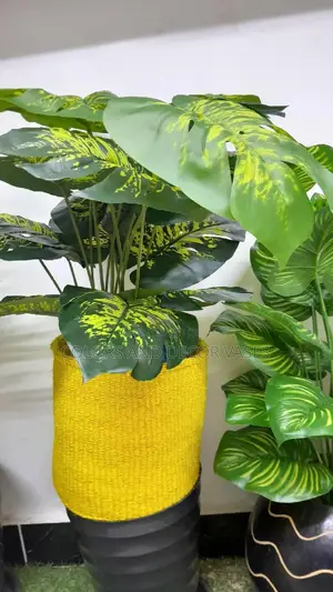 Yellow Basket, Plant and Pebble Stones