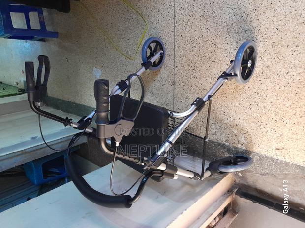 Rolletor Walker - main view