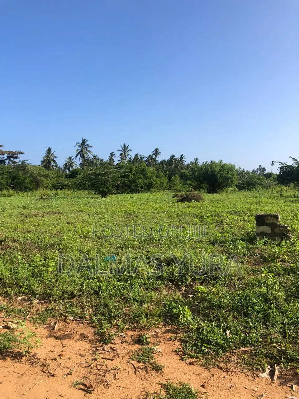An Acre Land in Gede - Watamu