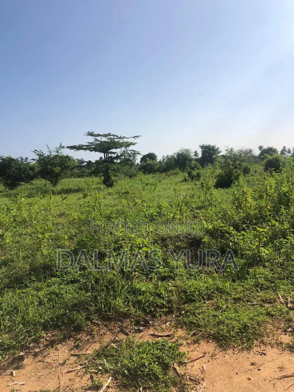 An Acre Land in Gede - Watamu