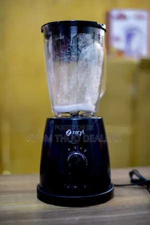 Zaryt 2 in 1 Blender in Black/White Available