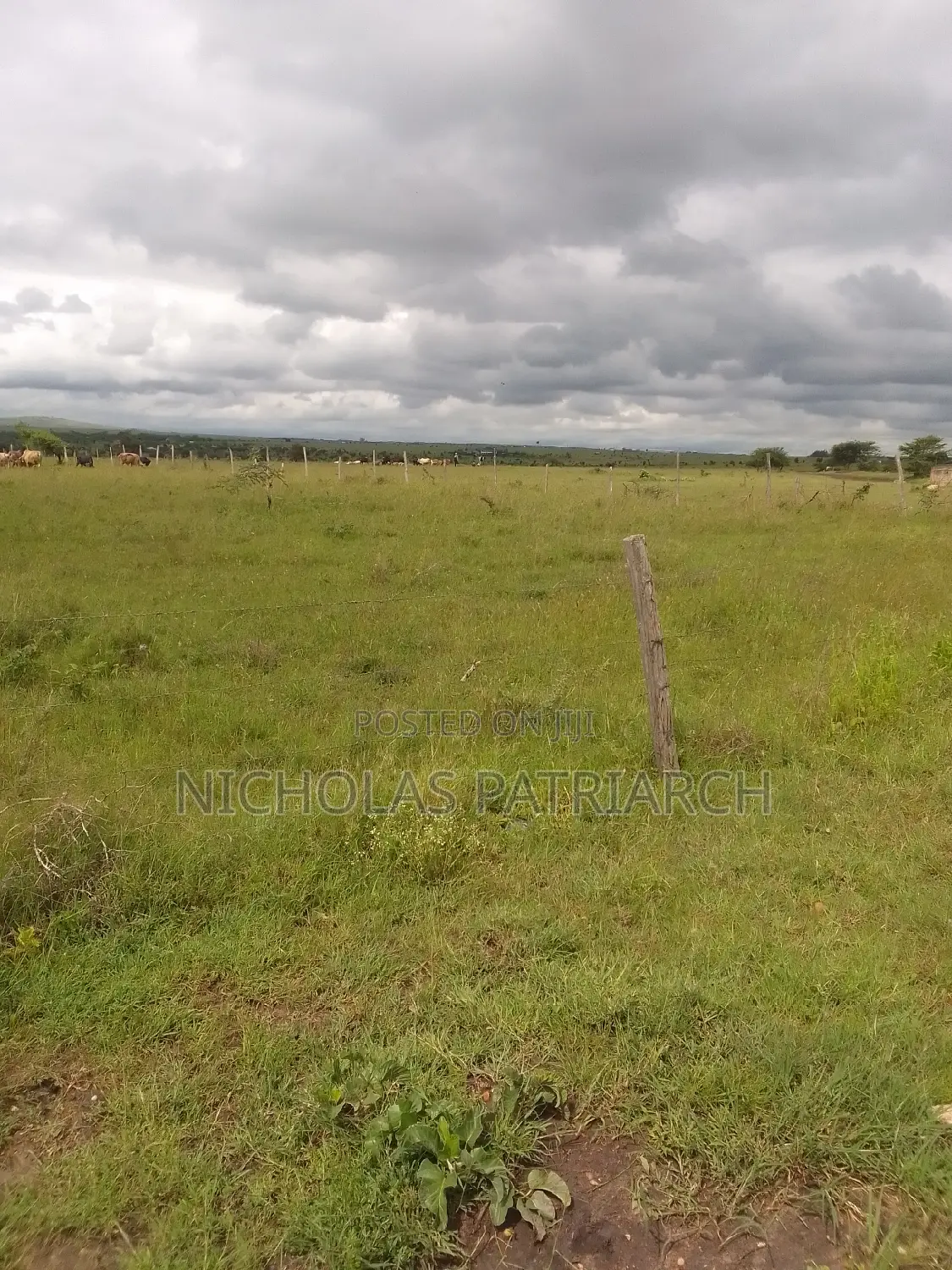 4 Acres Lukenya Touching Mombasa Road Selling at 30m Per Acre