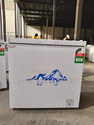 Ice Cool 169 Deep Freezer