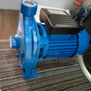 Quality Boaster Pump
