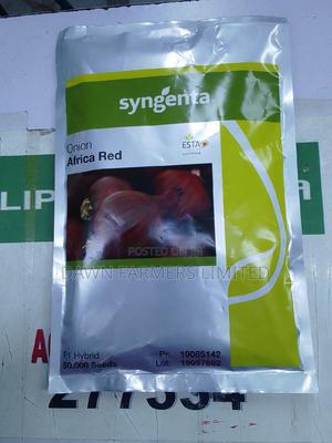 Africa Red Onion 50000 Seeds/200gms - main view